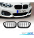 PARRILLAS BMW F20 F21 LCI 15-19 DOBLE LAMA NEGRO MATE