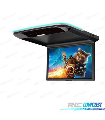 PANTALLA TECHO 14 PULGADAS HD AV USB COLOR NEGRO