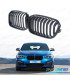 PARRILLAS BMW F20 LCI 15-19 NEGRO MATE