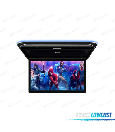 PANTALLA FULL HD PARA TECHO DE 19,5 "