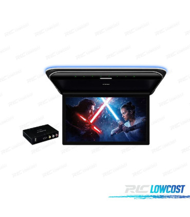 PANTALLA FULL HD PARA TECHO DE 19,5 "