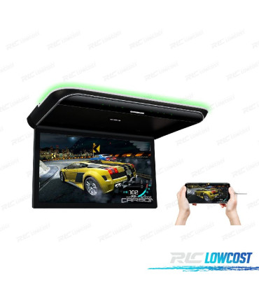 PANTALLA FULL HD PARA TECHO DE 19,5 "