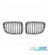 PARRILLA BMW X1 E84 09-12 CROMO